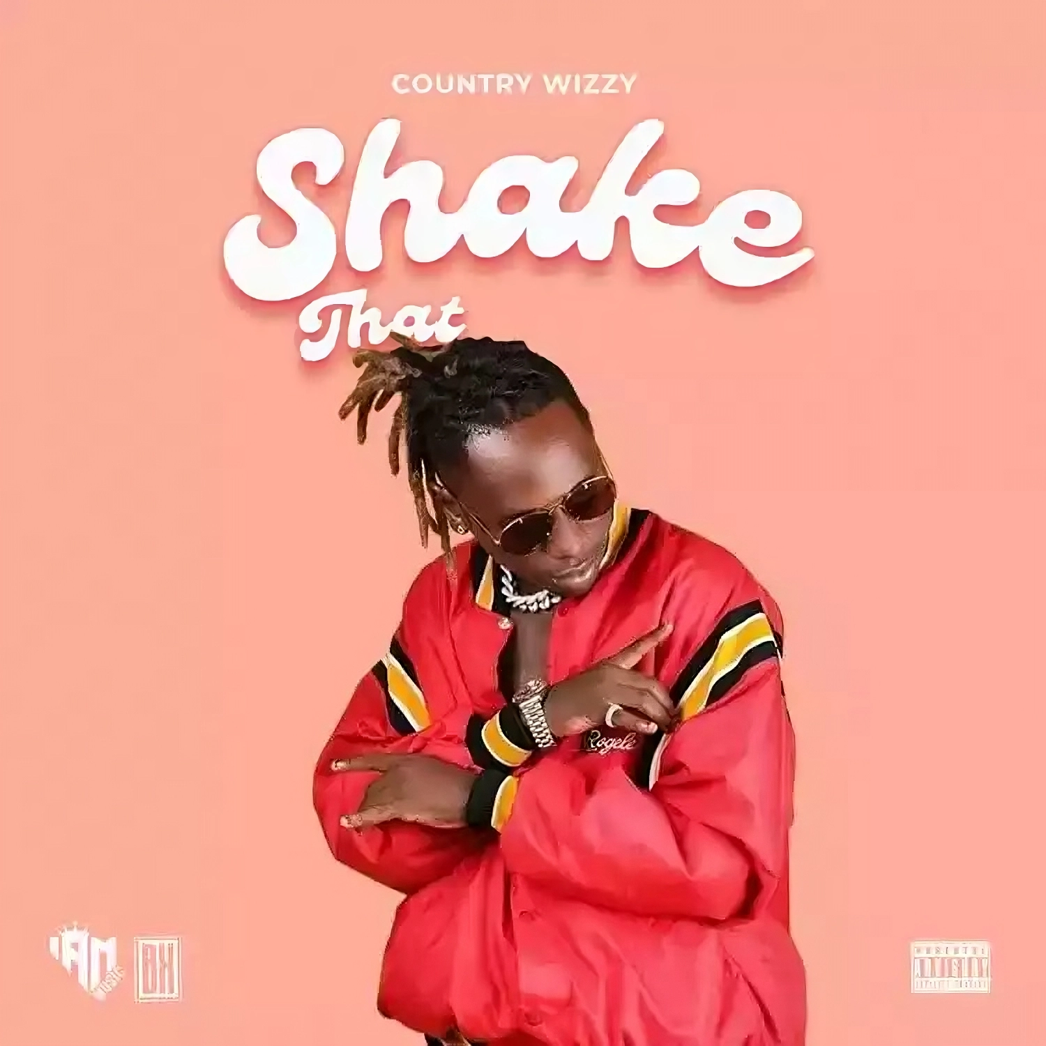 Country Wizzy - Shake That Mp3 Download